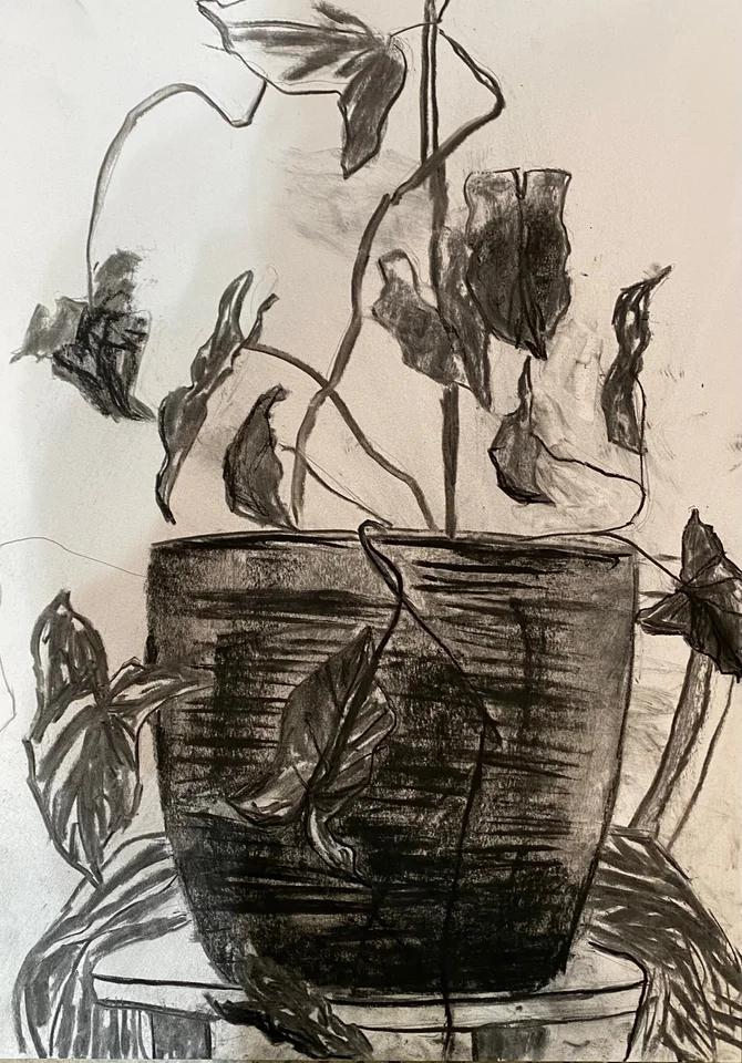 A still life of plants and a bowl in expressive dark lines