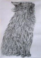 A detailed charcoal drawing of a long-haired cat named Eno